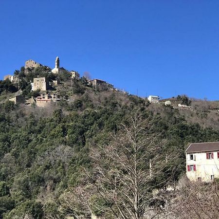 Camping L'Agrottu Au Coeur De La Corse Santa-Lucia-di-Mercurio Экстерьер фото