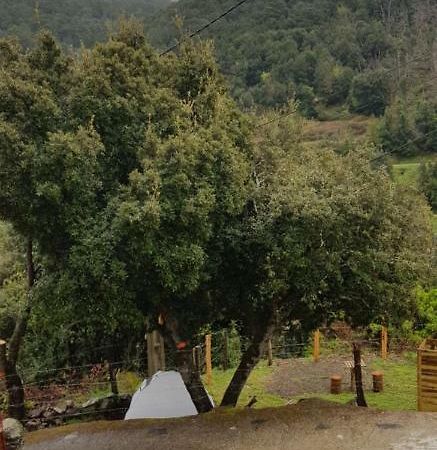 Camping L'Agrottu Au Coeur De La Corse Santa-Lucia-di-Mercurio Экстерьер фото