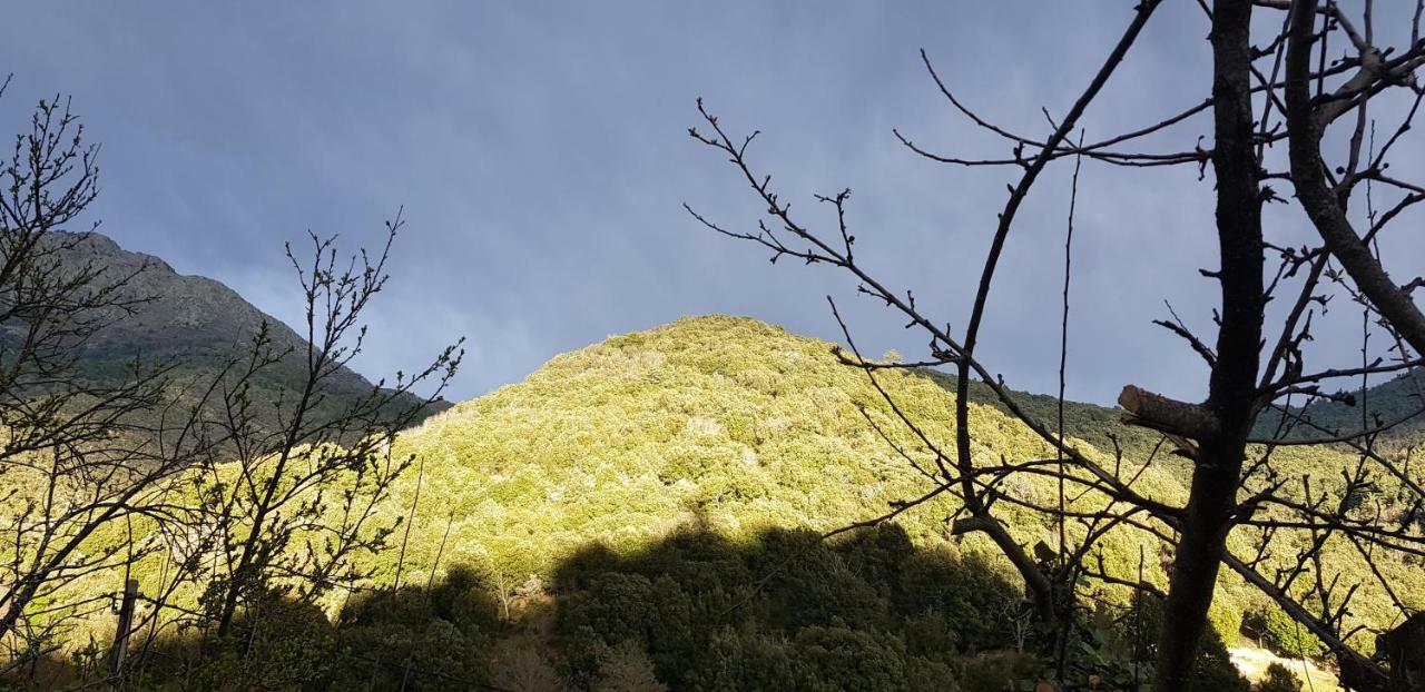 Camping L'Agrottu Au Coeur De La Corse Santa-Lucia-di-Mercurio Экстерьер фото