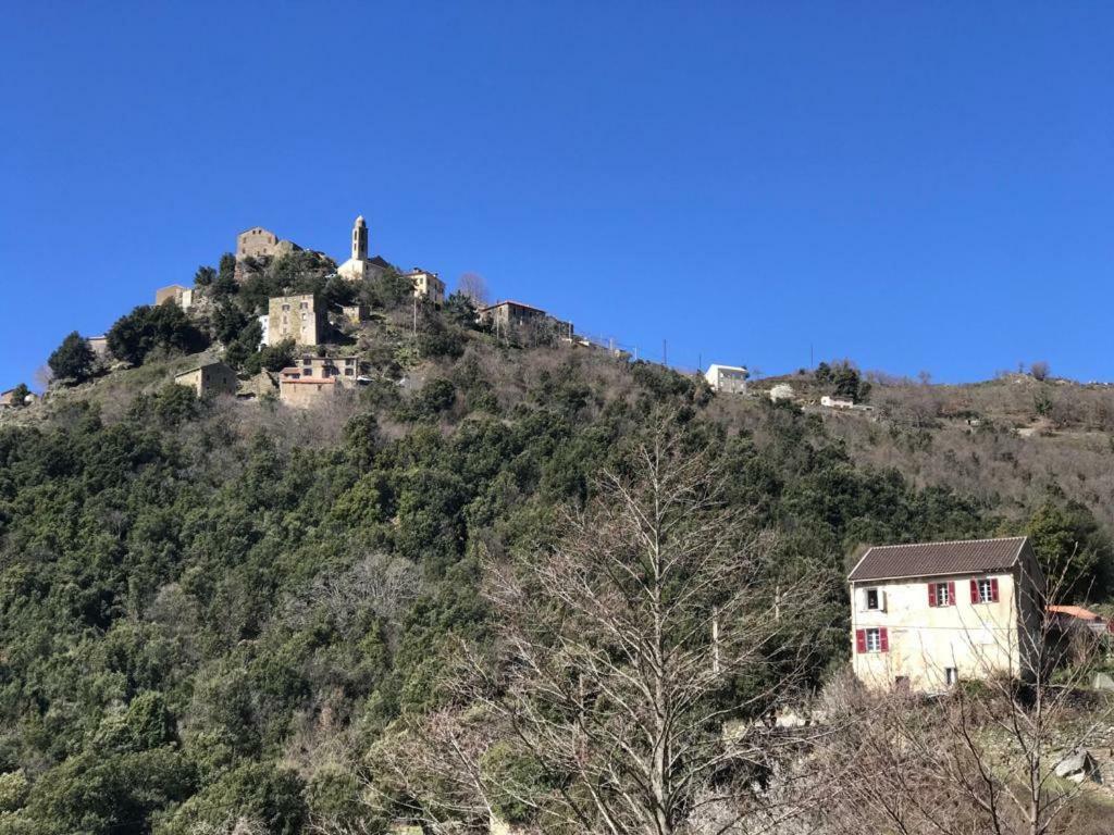 Camping L'Agrottu Au Coeur De La Corse Santa-Lucia-di-Mercurio Экстерьер фото