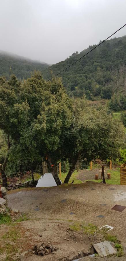 Camping L'Agrottu Au Coeur De La Corse Santa-Lucia-di-Mercurio Экстерьер фото