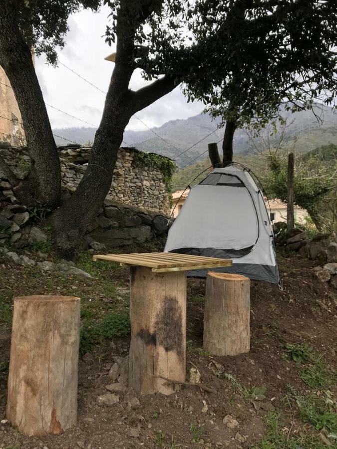 Camping L'Agrottu Au Coeur De La Corse Santa-Lucia-di-Mercurio Экстерьер фото