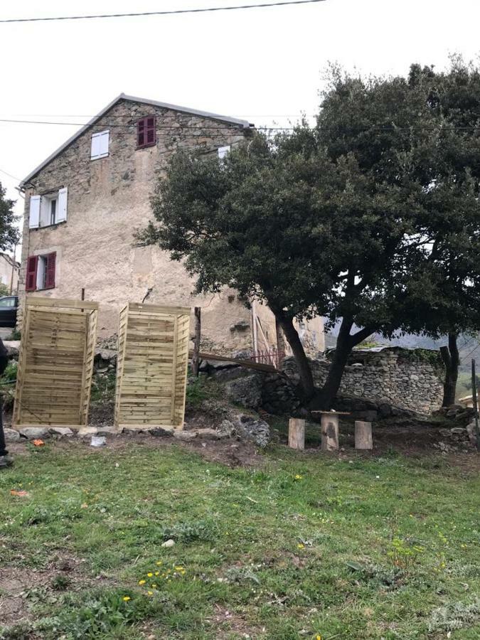 Camping L'Agrottu Au Coeur De La Corse Santa-Lucia-di-Mercurio Экстерьер фото