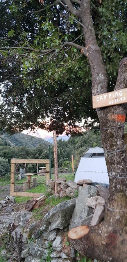 Camping L'Agrottu Au Coeur De La Corse Santa-Lucia-di-Mercurio Экстерьер фото