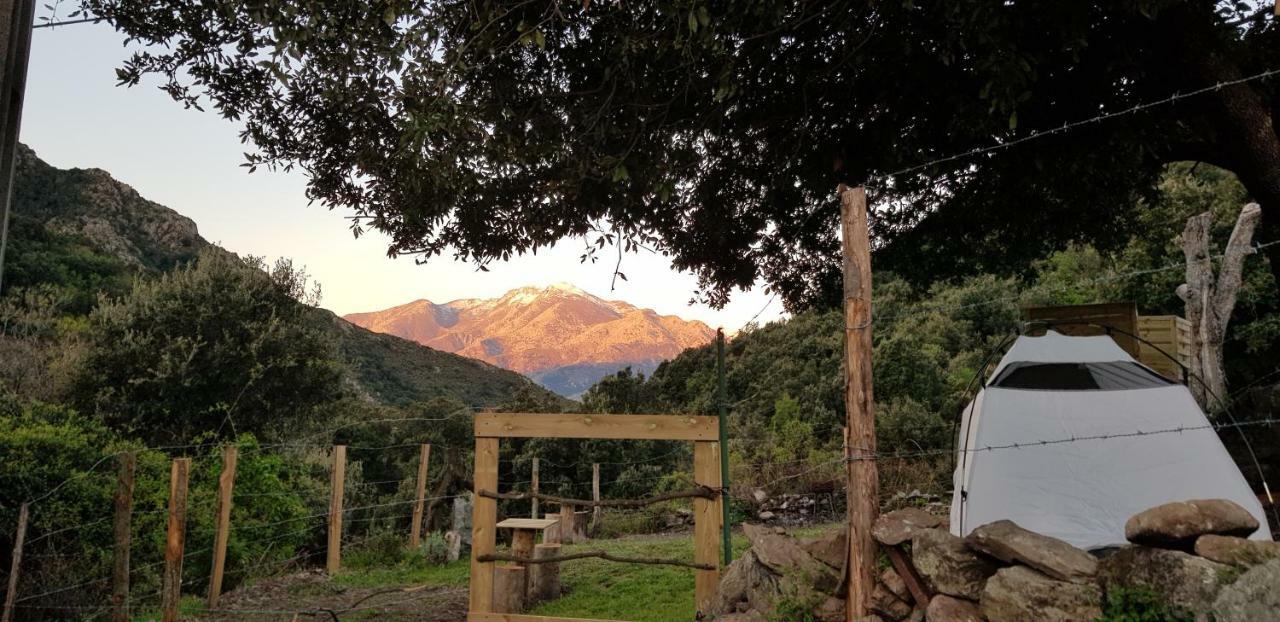 Camping L'Agrottu Au Coeur De La Corse Santa-Lucia-di-Mercurio Экстерьер фото