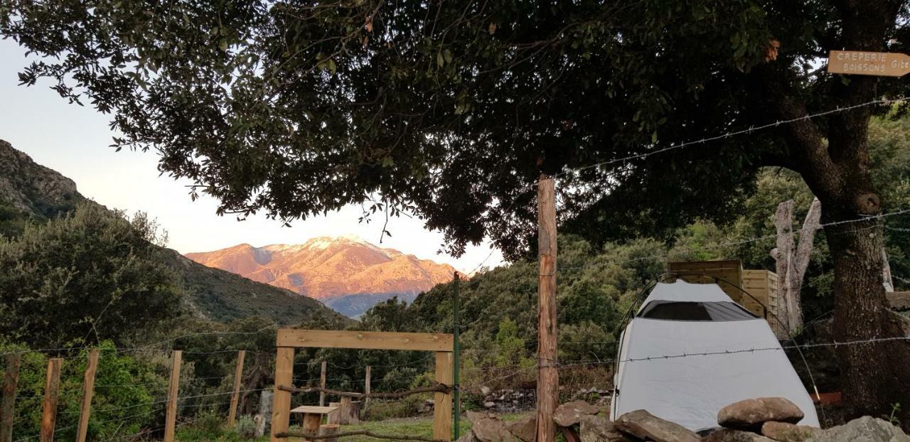Camping L'Agrottu Au Coeur De La Corse Santa-Lucia-di-Mercurio Экстерьер фото