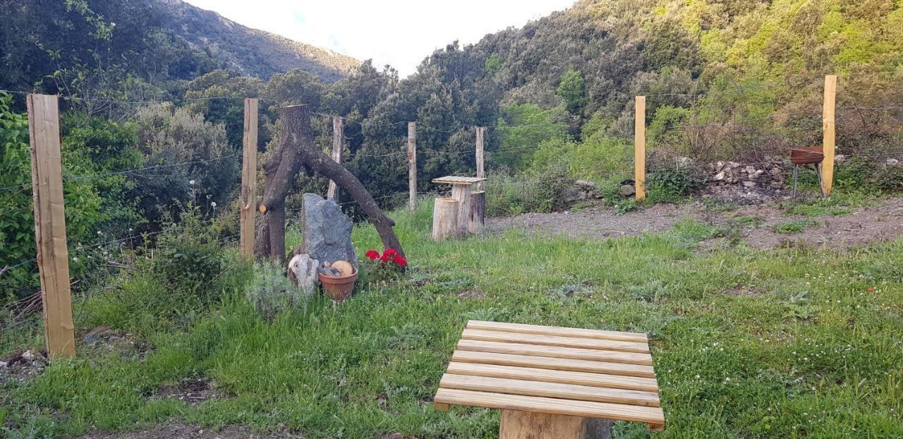 Camping L'Agrottu Au Coeur De La Corse Santa-Lucia-di-Mercurio Экстерьер фото